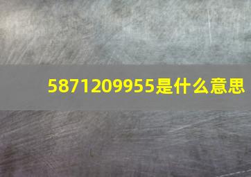 5871209955是什么意思