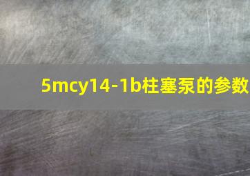 5mcy14-1b柱塞泵的参数