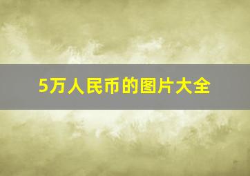 5万人民币的图片大全