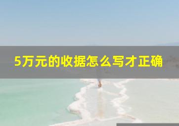 5万元的收据怎么写才正确