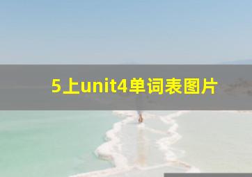 5上unit4单词表图片