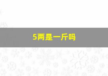 5两是一斤吗