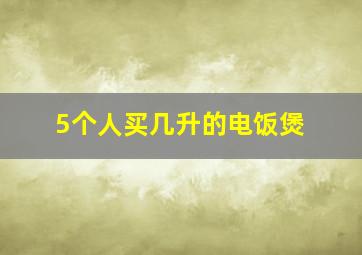 5个人买几升的电饭煲