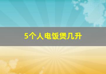 5个人电饭煲几升