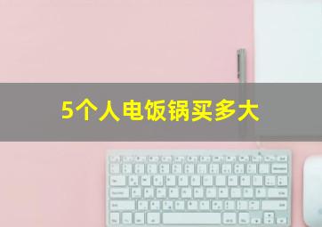 5个人电饭锅买多大