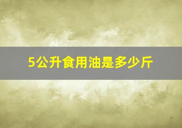 5公升食用油是多少斤