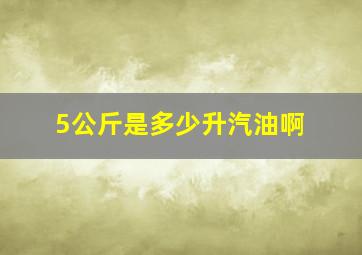 5公斤是多少升汽油啊