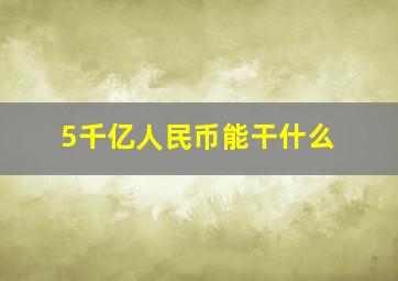 5千亿人民币能干什么