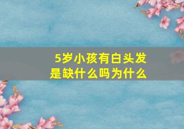 5岁小孩有白头发是缺什么吗为什么