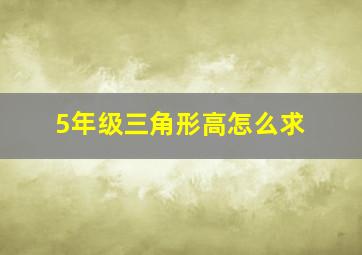 5年级三角形高怎么求