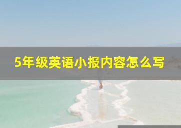 5年级英语小报内容怎么写