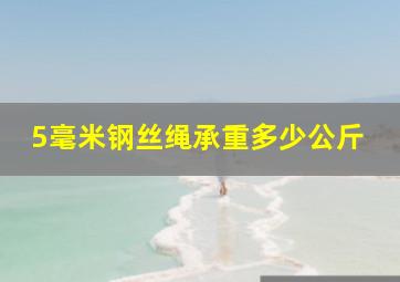 5毫米钢丝绳承重多少公斤