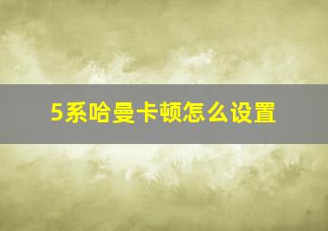 5系哈曼卡顿怎么设置