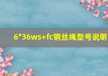 6*36ws+fc钢丝绳型号说明