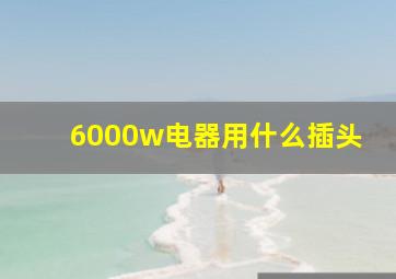 6000w电器用什么插头