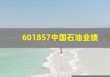 601857中国石油业绩