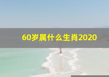 60岁属什么生肖2020