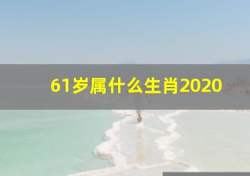 61岁属什么生肖2020