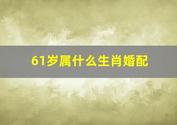 61岁属什么生肖婚配