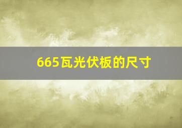 665瓦光伏板的尺寸