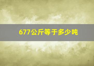 677公斤等于多少吨