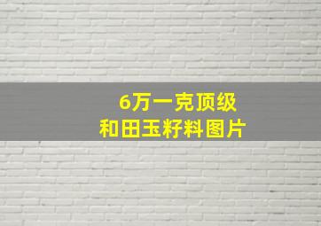 6万一克顶级和田玉籽料图片