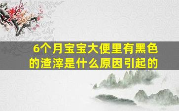 6个月宝宝大便里有黑色的渣滓是什么原因引起的