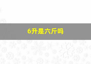 6升是六斤吗