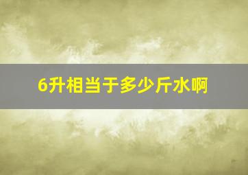 6升相当于多少斤水啊