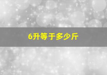 6升等于多少斤