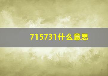 715731什么意思