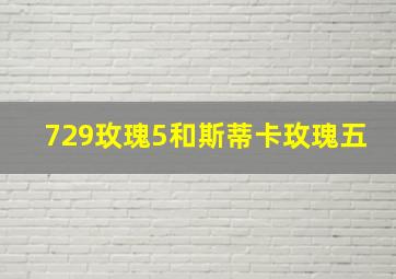 729玫瑰5和斯蒂卡玫瑰五