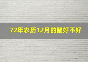 72年农历12月的鼠好不好