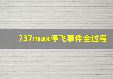 737max停飞事件全过程