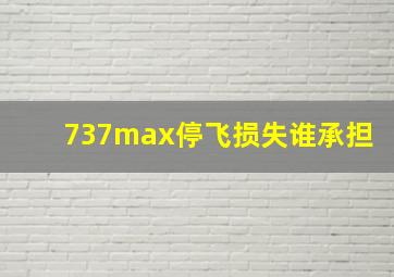 737max停飞损失谁承担