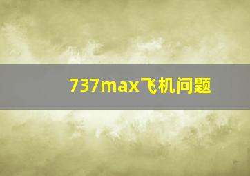 737max飞机问题