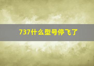 737什么型号停飞了