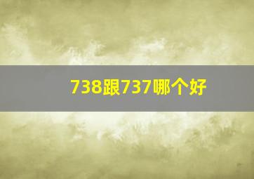 738跟737哪个好