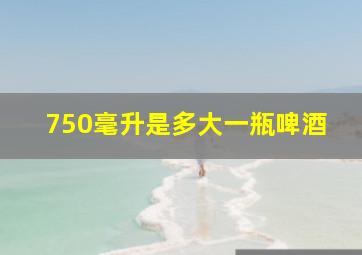 750毫升是多大一瓶啤酒