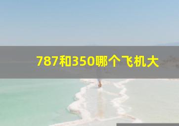 787和350哪个飞机大