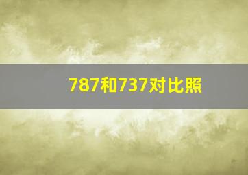 787和737对比照