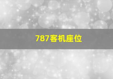 787客机座位