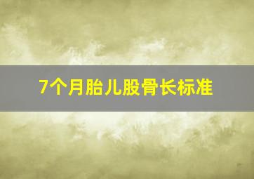 7个月胎儿股骨长标准