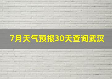 7月天气预报30天查询武汉