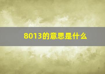 8013的意思是什么