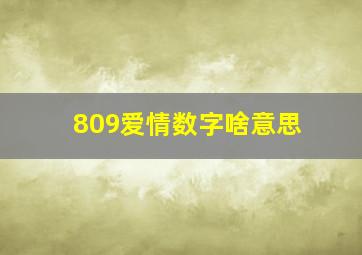 809爱情数字啥意思