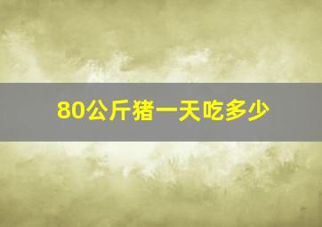 80公斤猪一天吃多少