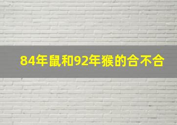 84年鼠和92年猴的合不合