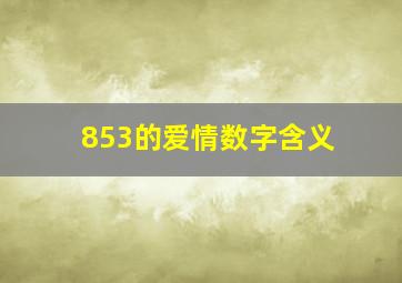 853的爱情数字含义