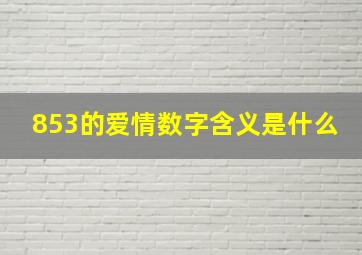 853的爱情数字含义是什么